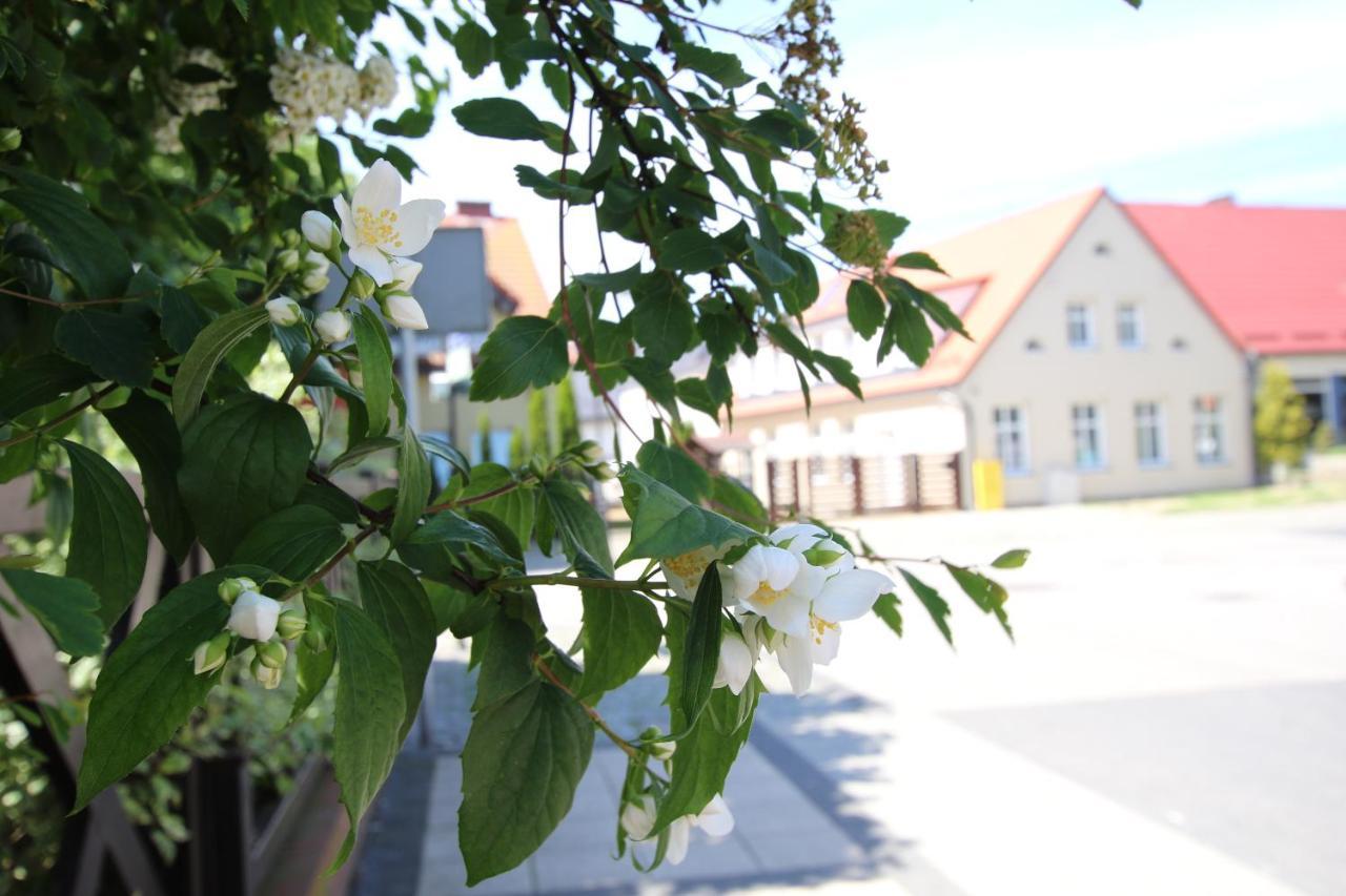 Apartamenty Royal Maris 1 - Najlepsza Lokalizacja W Ustce, Blisko Plazy I Portu, Bezplatny Parking, Scisle Centrum 우스트카 외부 사진